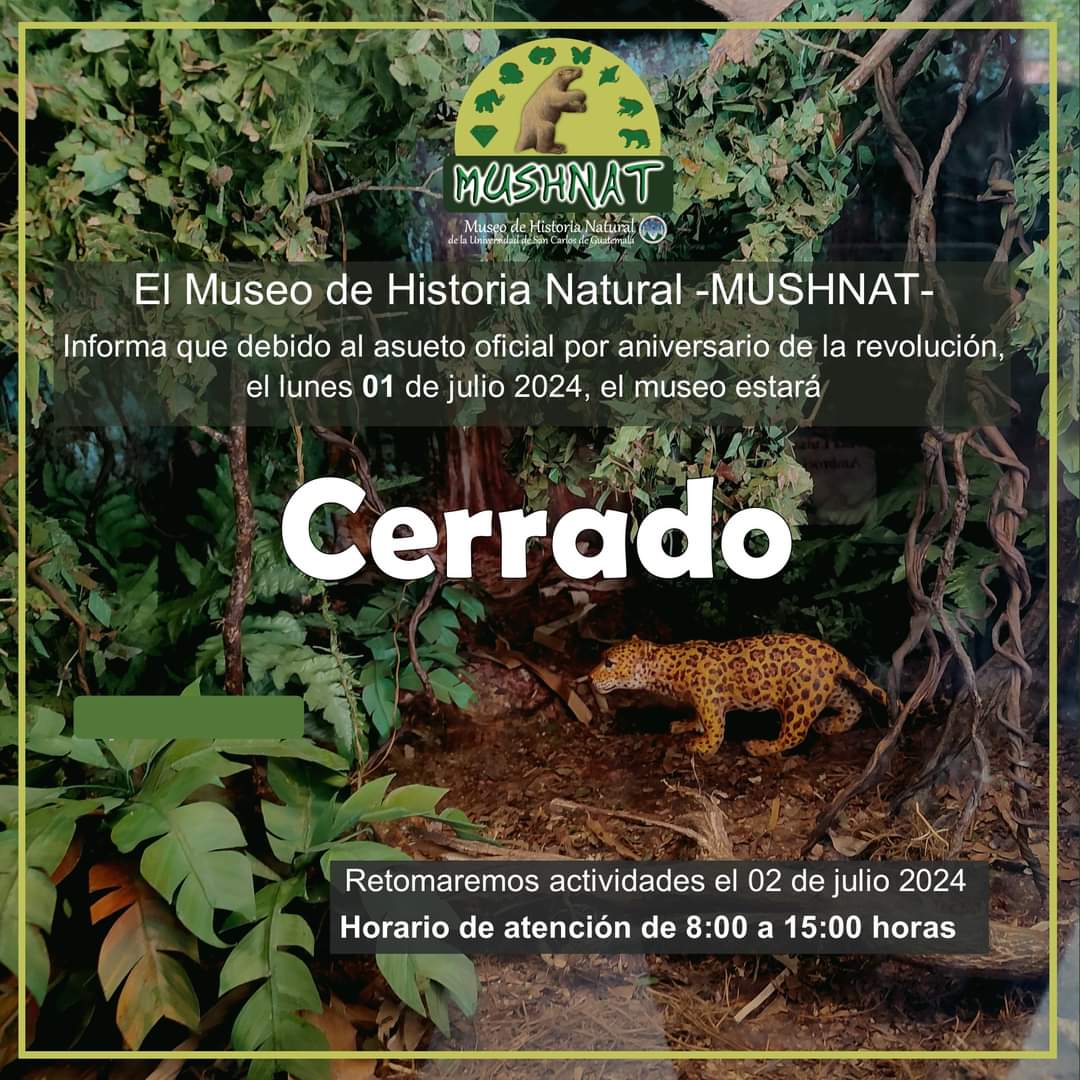 mushnatUsac's tweet photo. Nos vemos a partir del martes 2 en horario habitual https://t.co/5aAxyPmjR8
