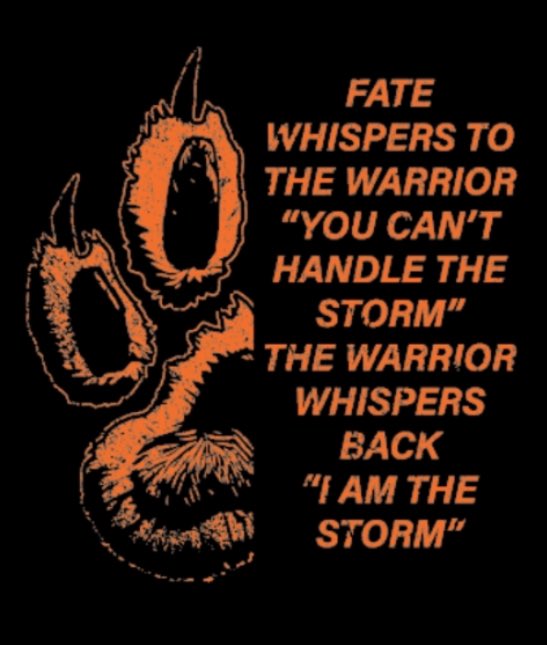 “I am the storm”