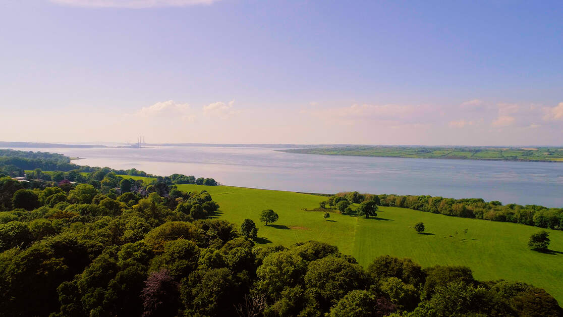 Tourism Ireland tweet media