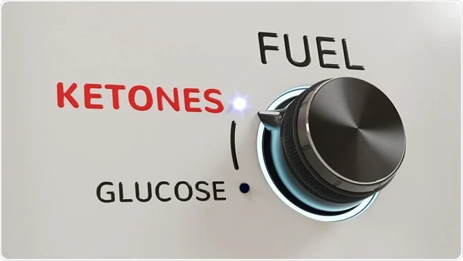 wellproai's tweet photo. Could a change in your diet unlock better energy, focus, and overall health? 
Learn more in our latest newsletter, 'Ketosis: The Fat-Burning State for Health and Energy'. 

Subscribe to our newsletter for weekly educational and insightful content! 💪

https://t.co/MbUvYCVBL6 https://t.co/dEiNzgprt7