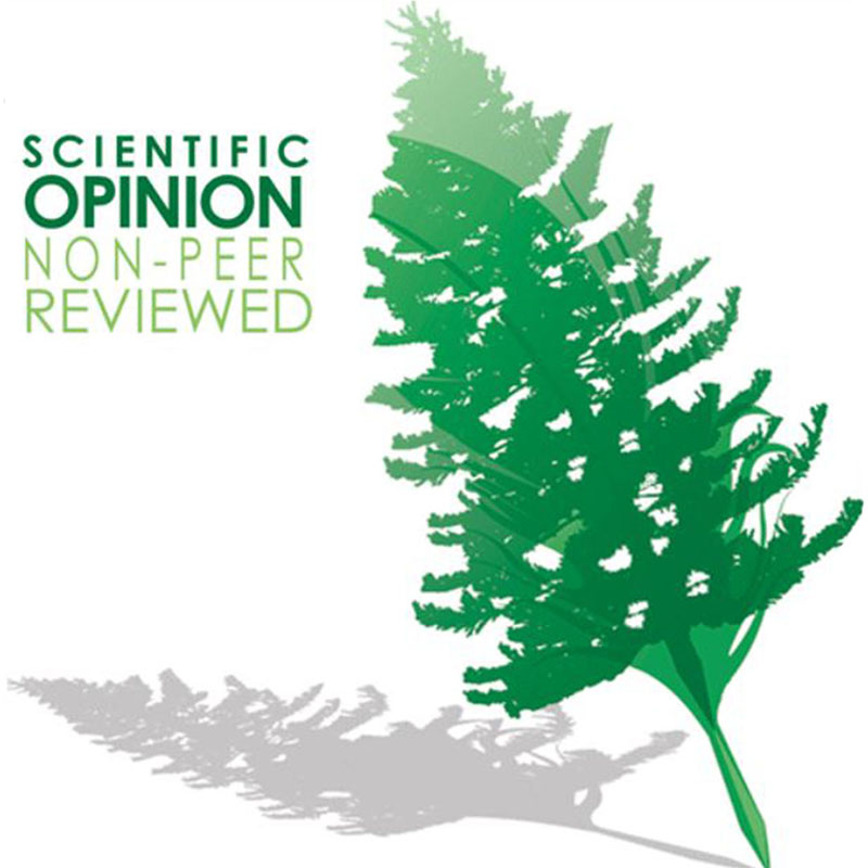EnvSciTech's tweet photo. In this viewpoint, scientists from @StudyatUSTC discuss the role of #mineralization and #polymerization in catalytic oxidation systems for #OrganicPollutant removal.

Read this article in ES&amp;T: https://t.co/Cl24i0iWGr https://t.co/pF9hTM6oO9