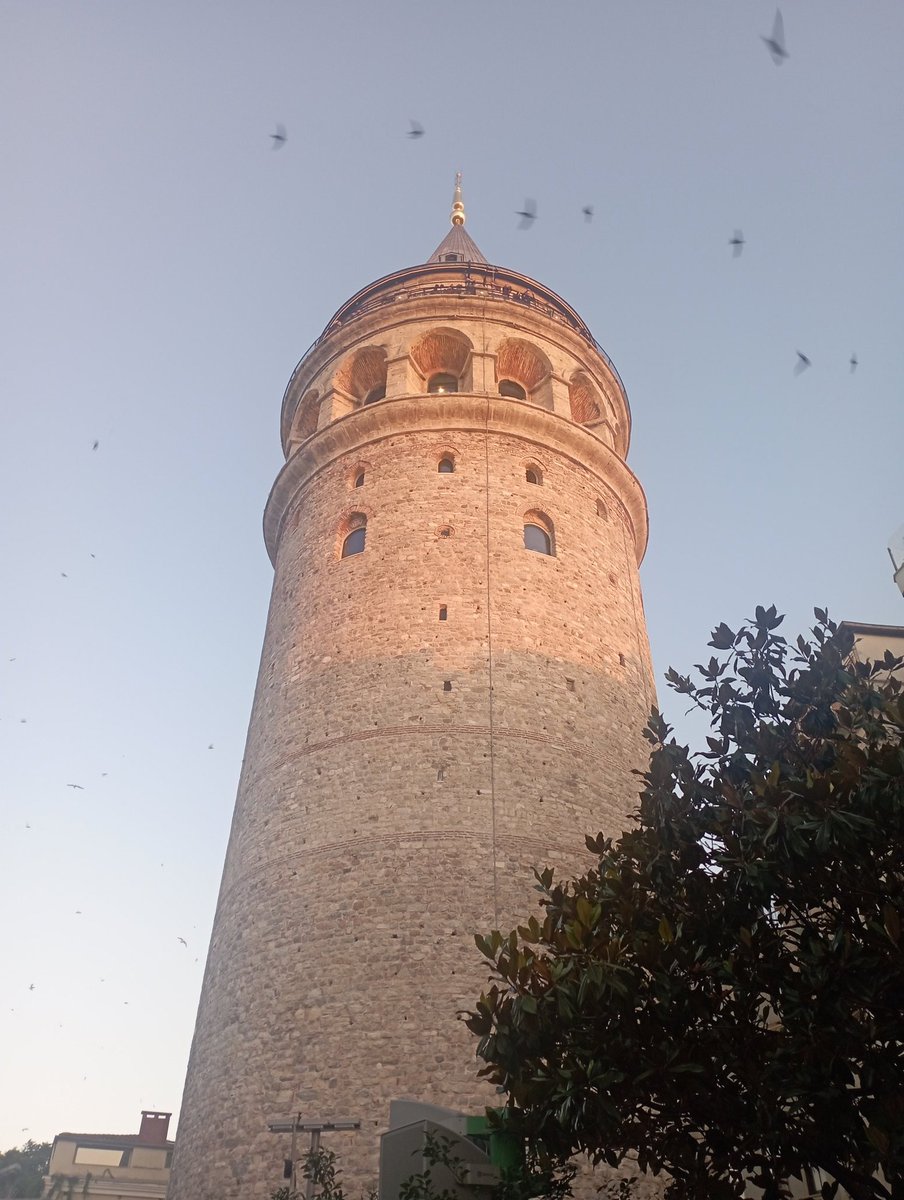 dghnksp (@dghnksp1) on Twitter photo 