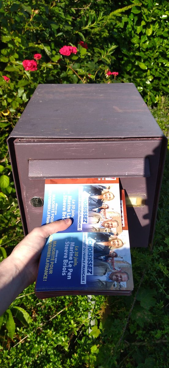 MrtGeoffrey's tweet photo. En cette dernière journée de campagne et de mobilisation, j'ai contribué une dernière fois avec quelques jeunes du @RNJ_62 à #LeForest , à la campagne de @MLP_officiel et @SteeveBriois !
#legislatives2024 #BardellaPremierMinistre https://t.co/BPeyMBt9nY