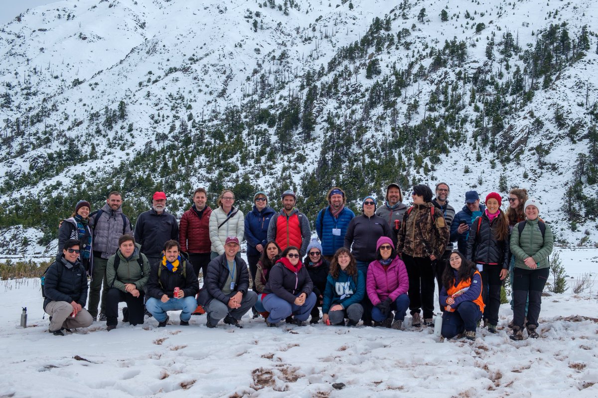 rebekah harries tweet media