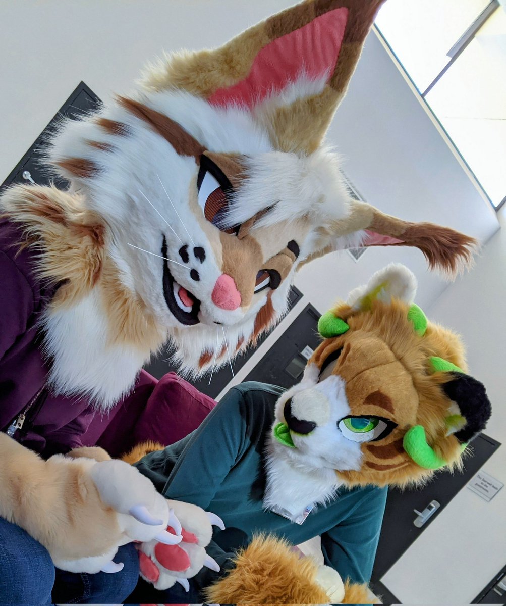 #FursuitFriday <a href="/Carthias/">Carthias</a>
Me: This guy better not be blepping at me 🤨 
The guy: