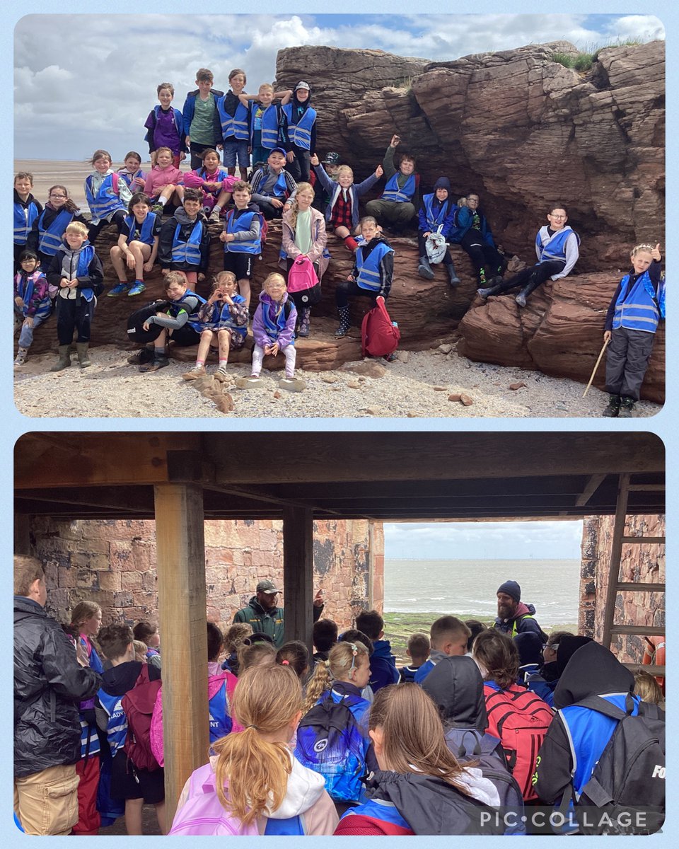 Ladymount Primary tweet media