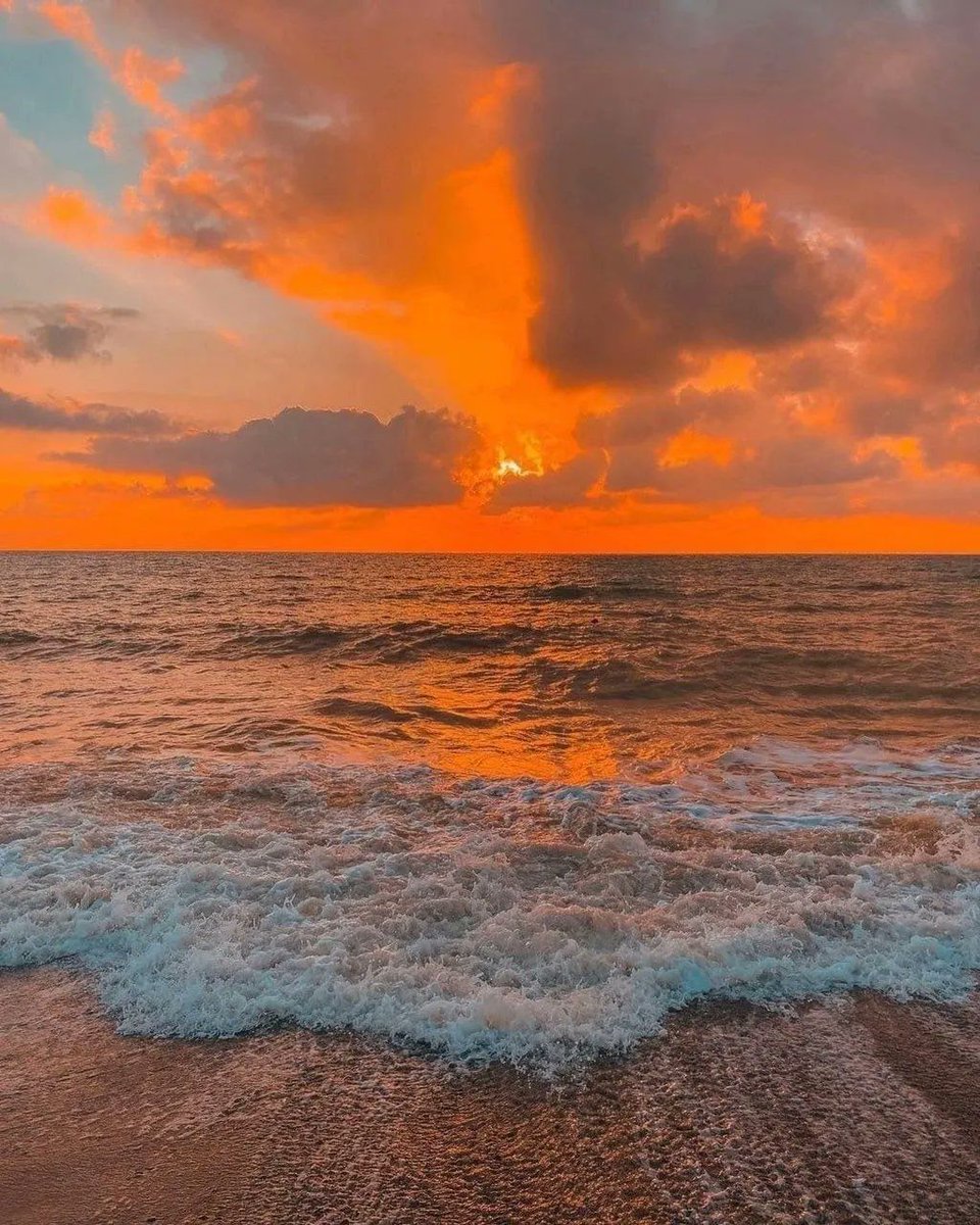 Aesthetics (@aestheticspost_) on Twitter photo 