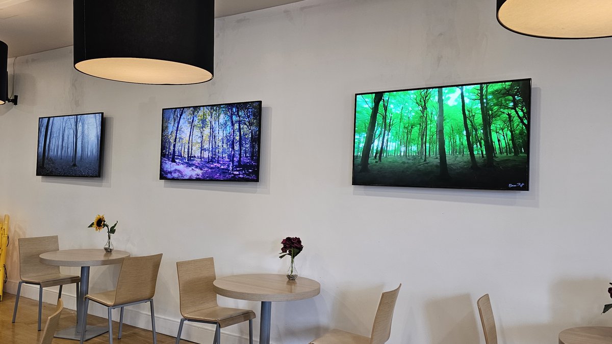 Enzo Roff tweet media