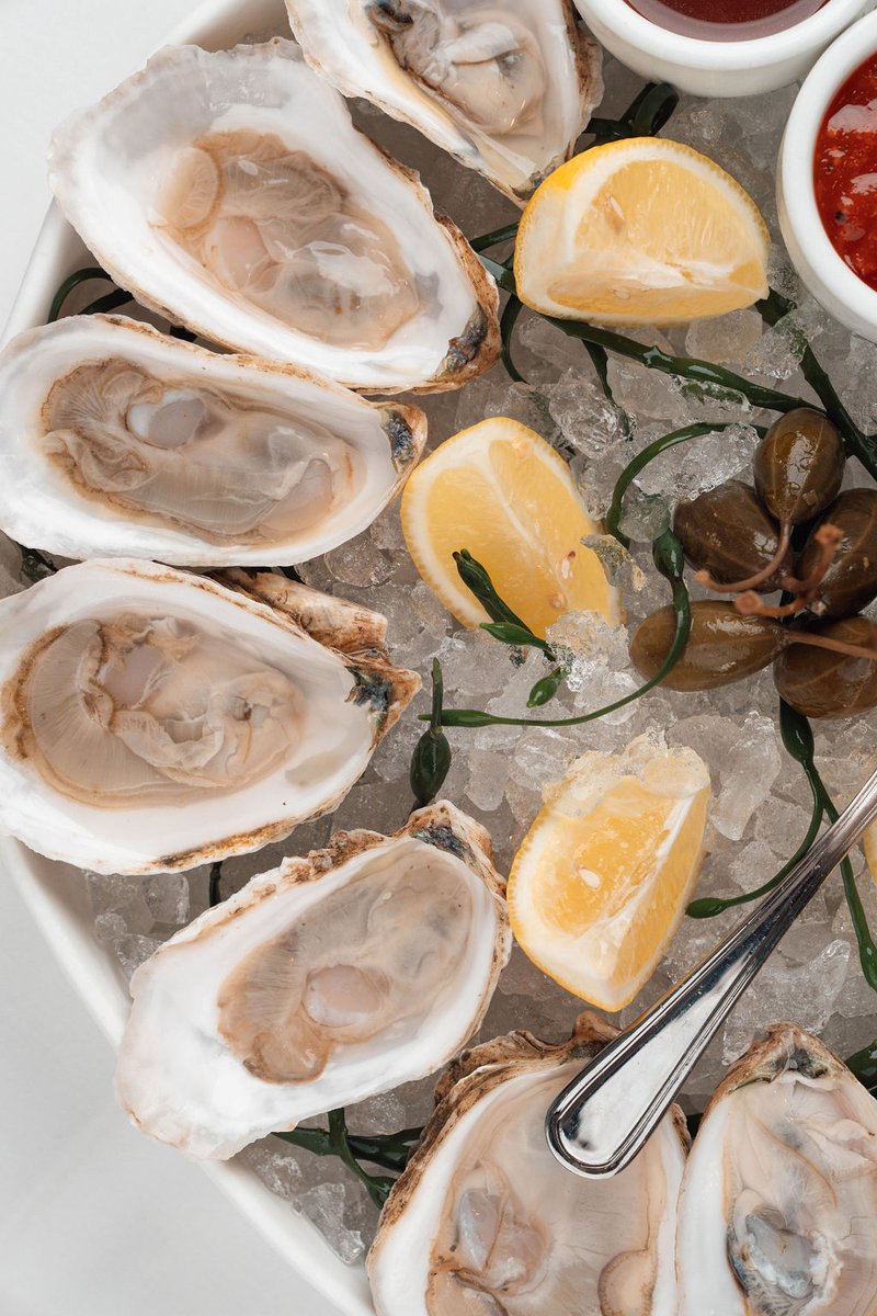 TheSeaFireGrill's tweet photo. The world is your oyster! Come indulge with our fresh oysters at The Sea Fire Grill! 🦪

 #SeaFireGrill #FreshOysters #NYCfoodie #ManhattanEats #Midtown #Oysters #NYCSeafood https://t.co/8aSXijIVRo