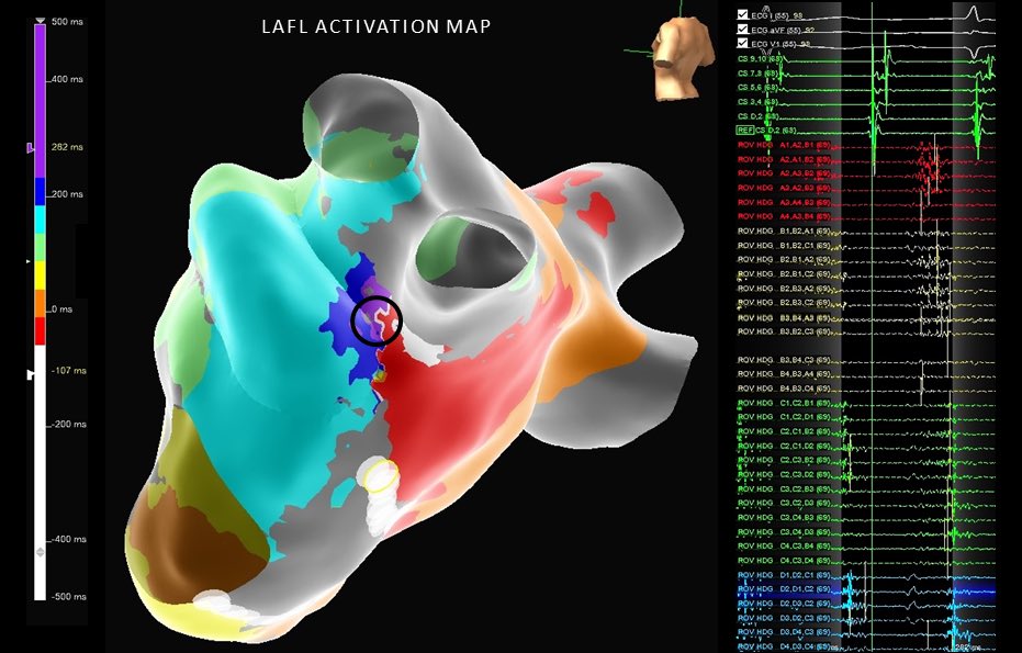 EP Mappers- DMV tweet media