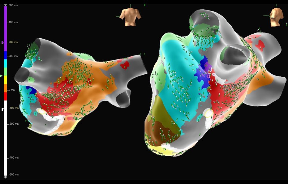 EP Mappers- DMV tweet media
