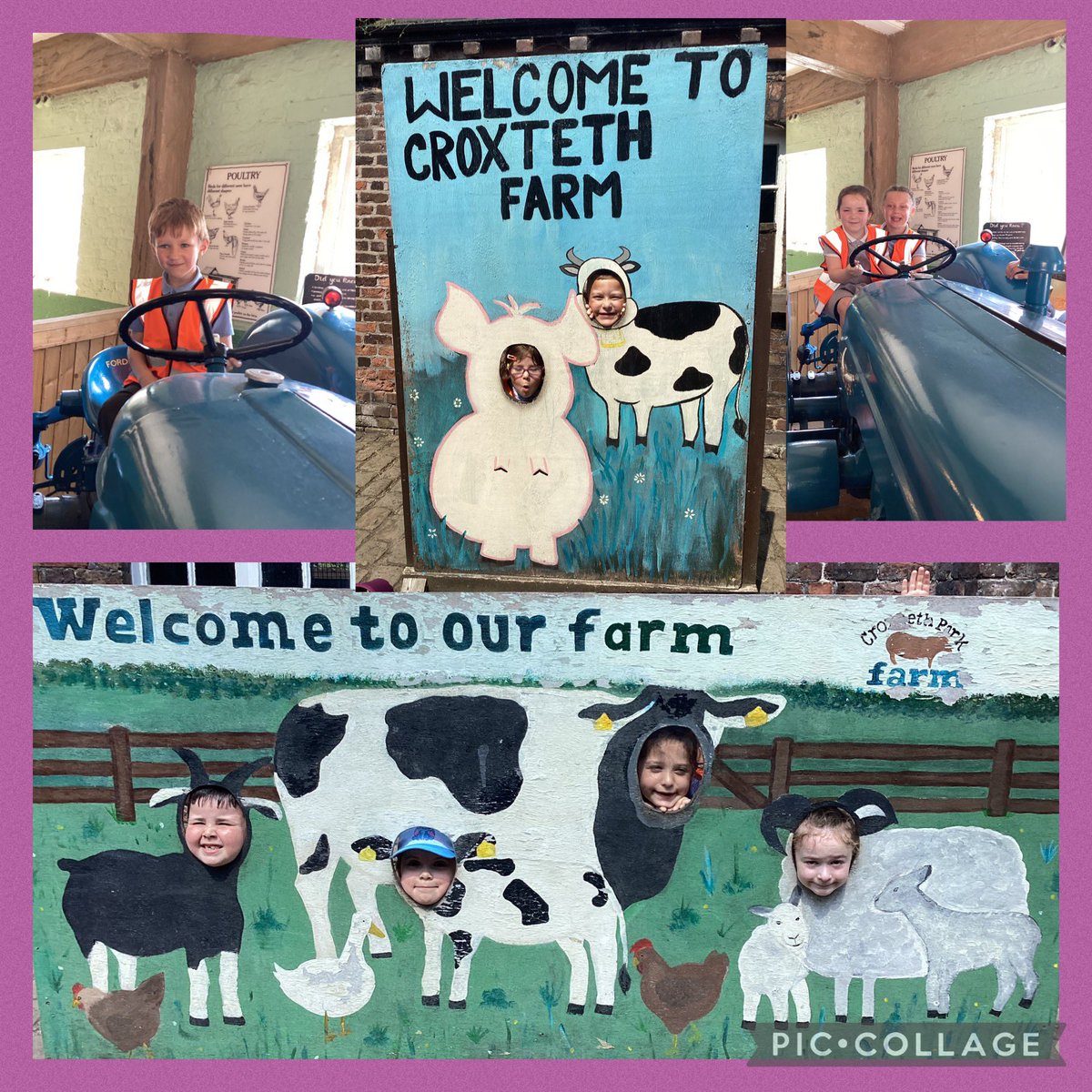 Y1 Stockton Wood tweet media