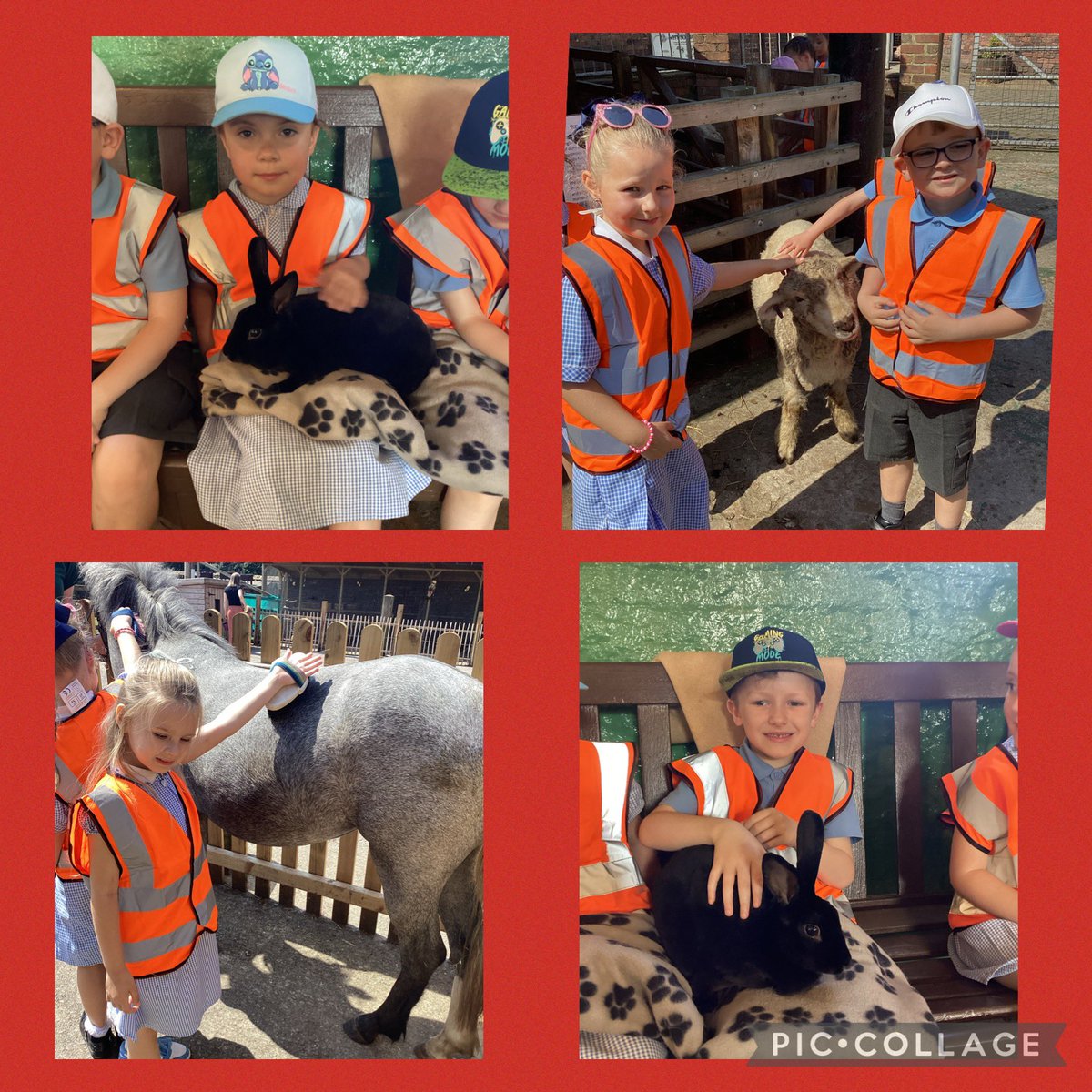 Year One thoroughly enjoyed their visit to Croxteth Farm this week! Thank you to all the helpers who joined us too! Such a fun filled day! #StocktonWoodScience #StocktonWoodParents