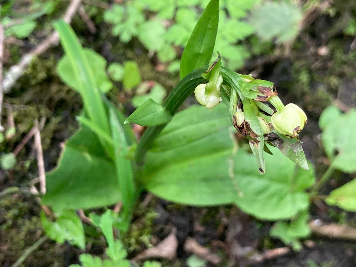 Hannah Baker tweet media