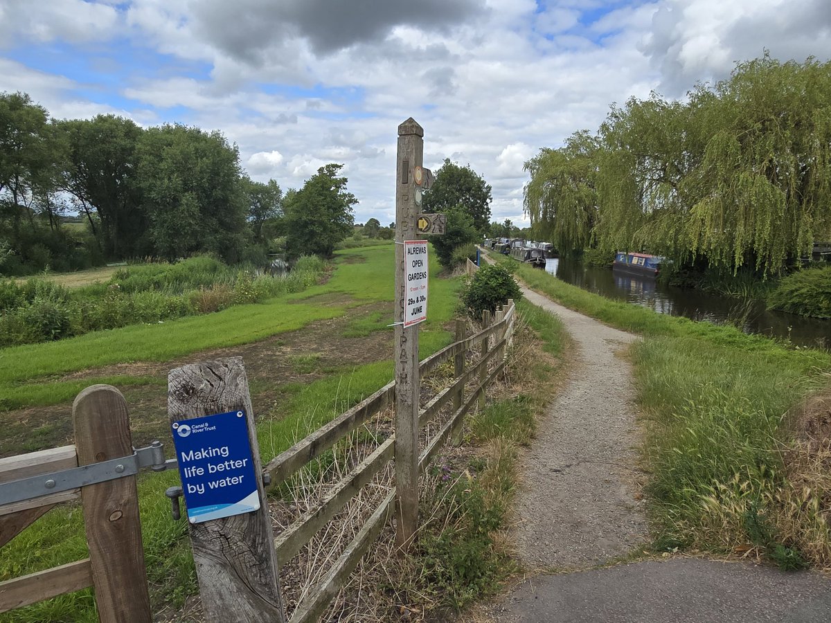 NB Goldi-Locks tweet media