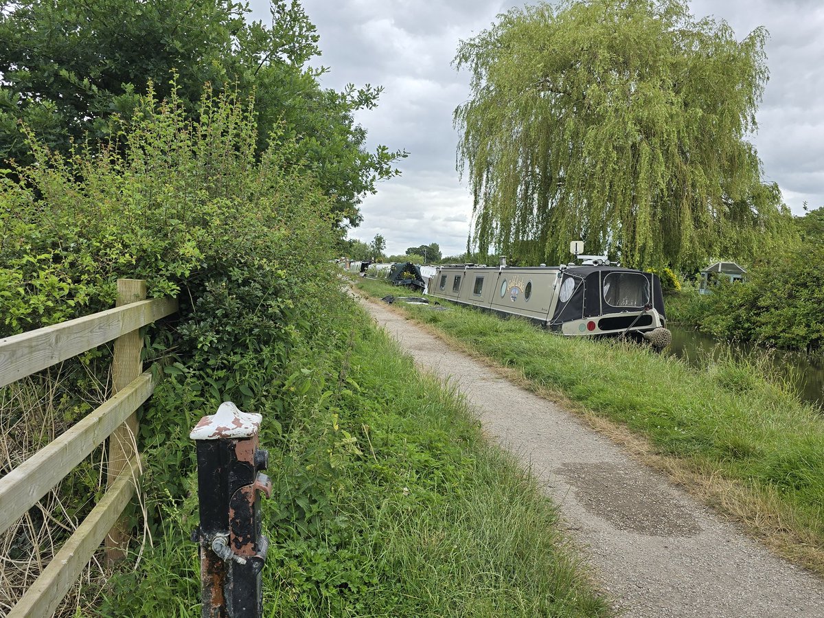 NB Goldi-Locks tweet media