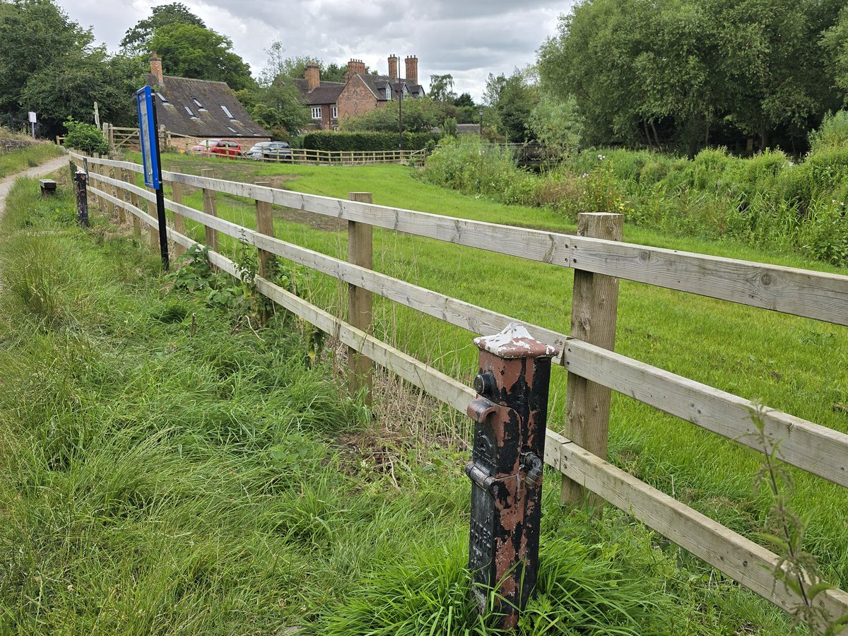 NB Goldi-Locks tweet media