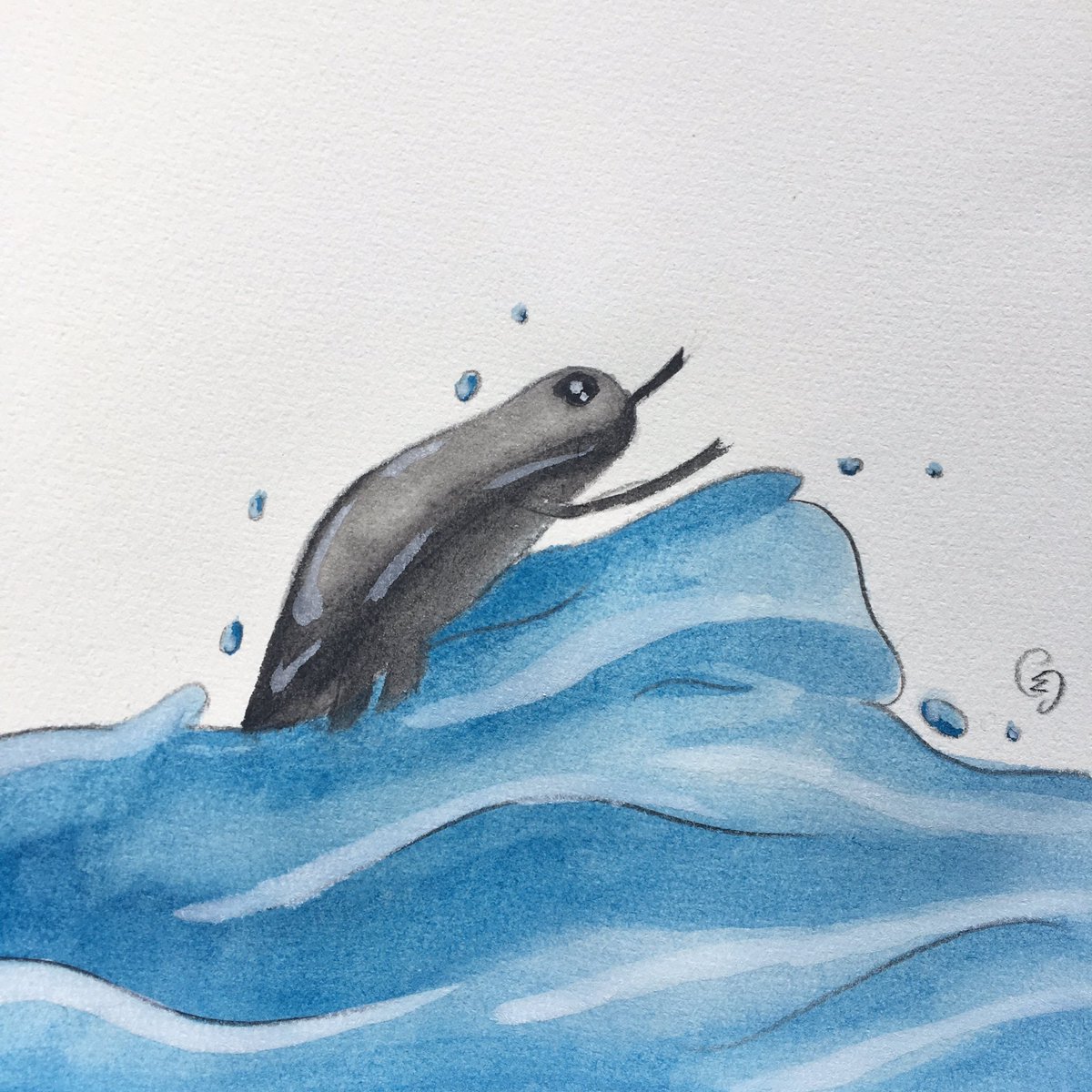 Marie_Crevette_'s tweet photo. Junebug jour 28: Whirligig Beetle #illustration #watercolor #bug #challenge https://t.co/PxY4vWosBc