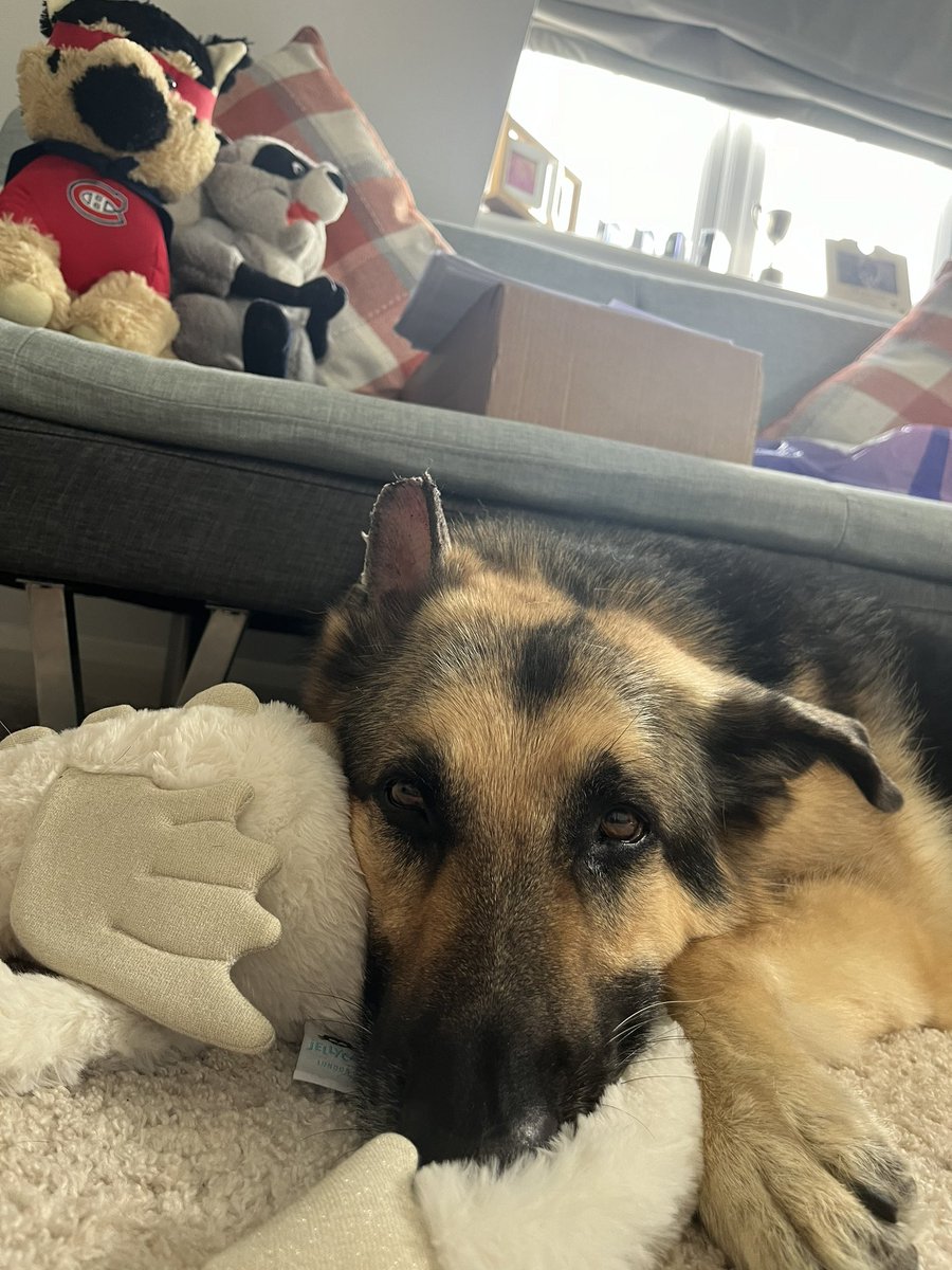 Matt Dando-Thompson tweet media