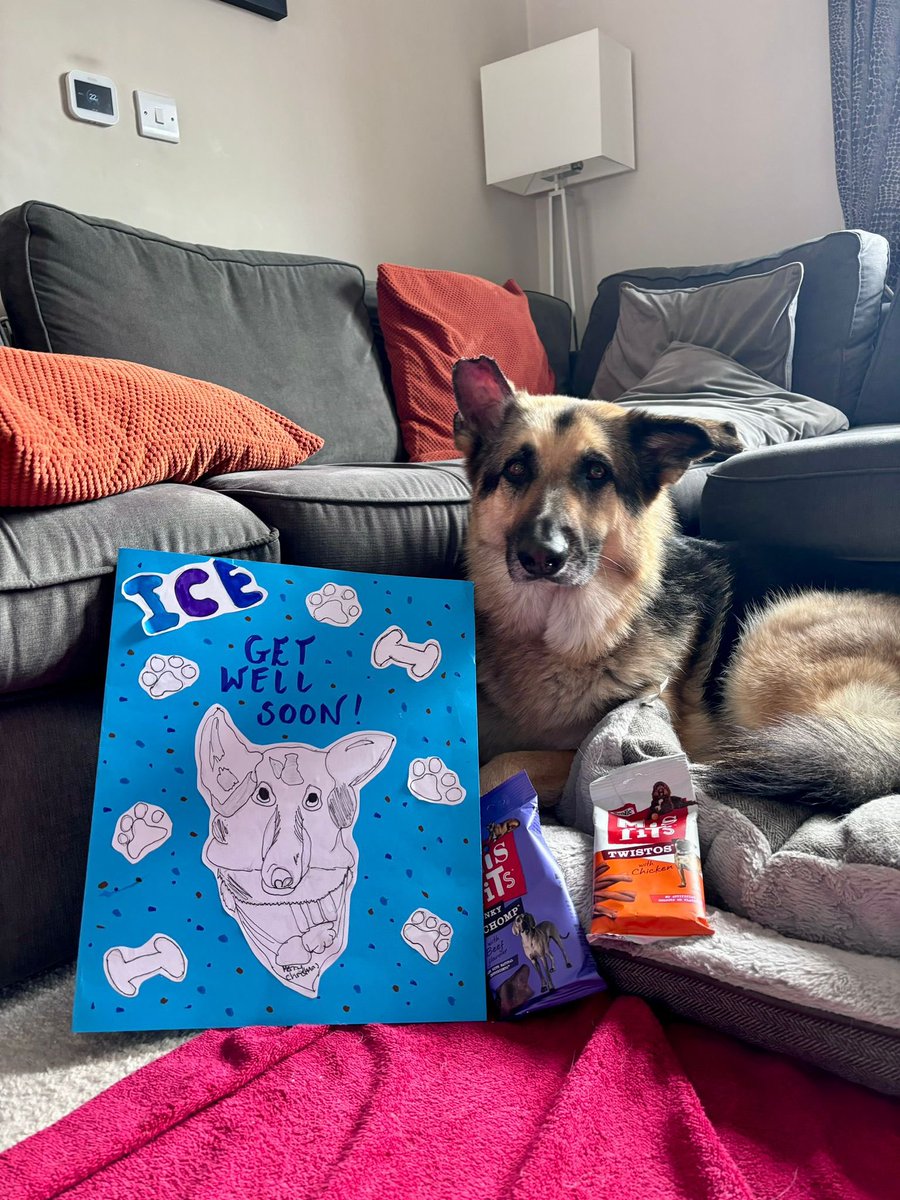 Matt Dando-Thompson tweet media