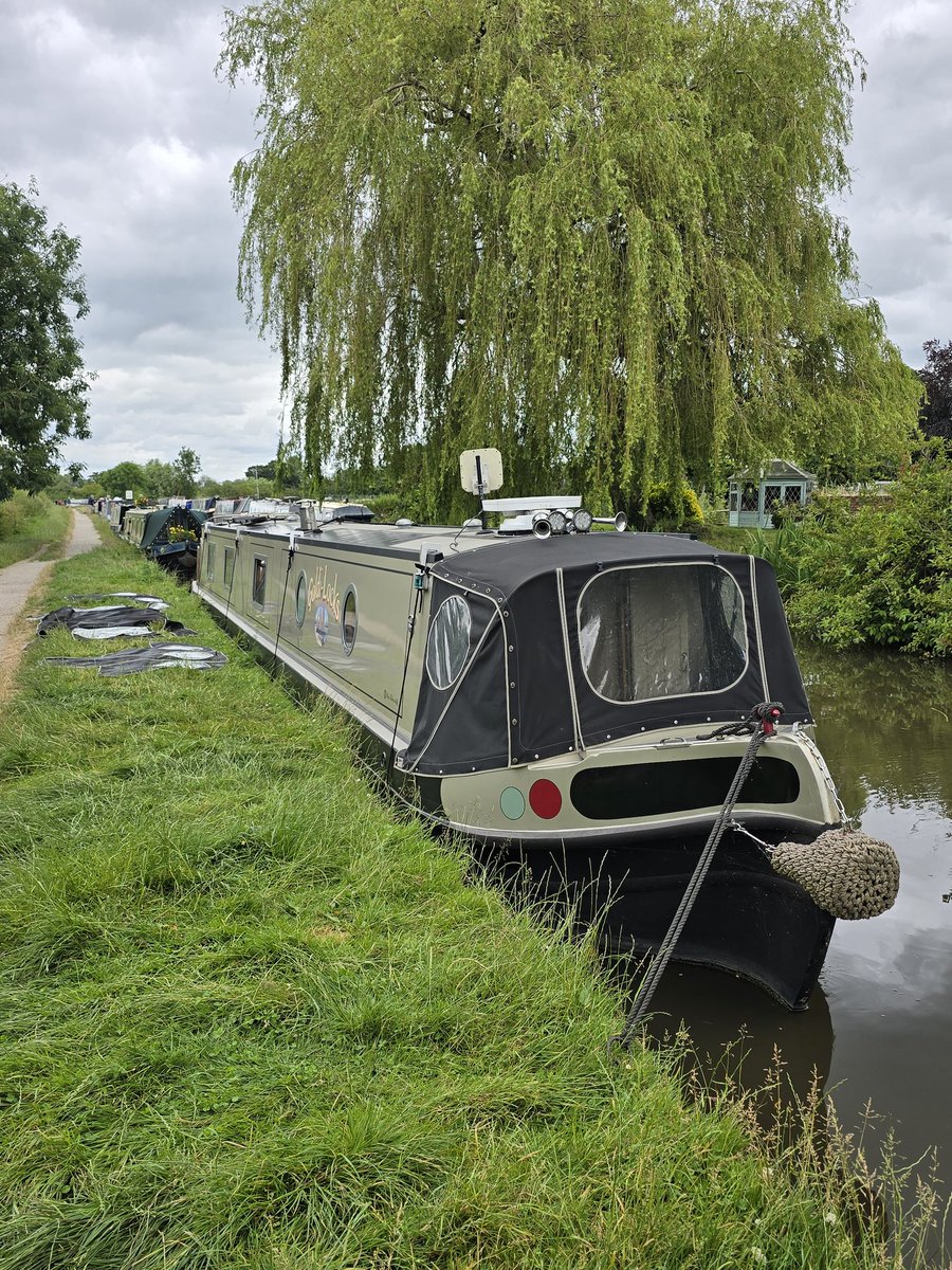 NB Goldi-Locks tweet media