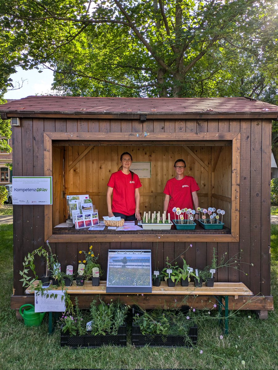 Vom 28. bis 30.06.2024 sind wir mit einem Stand auf der 800-Jahr-Feier in Bitterfeld vertreten. Wir stellen das KompetenzGrün-Projekt vor, erklären wie sich artenreiche Wiesen anlegen lassen, worauf dabei zu achten ist und bringen jede Menge Wildpflanzen mit.