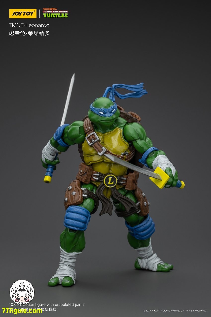 Teenage Mutant Ninja Turtles TMNT Action Figure Leonardo