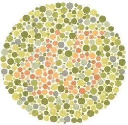 Kurd4A's tweet image. من تێستەکا رەنگا بو خو کر
ئەو ژمارێت ڤان وێنادا چ رەنگ بن 
من دیتنا وان رەنگا نینە
و نە زانی چ ژمارە یان وێنە تێدانە 
#colorblind
🌚