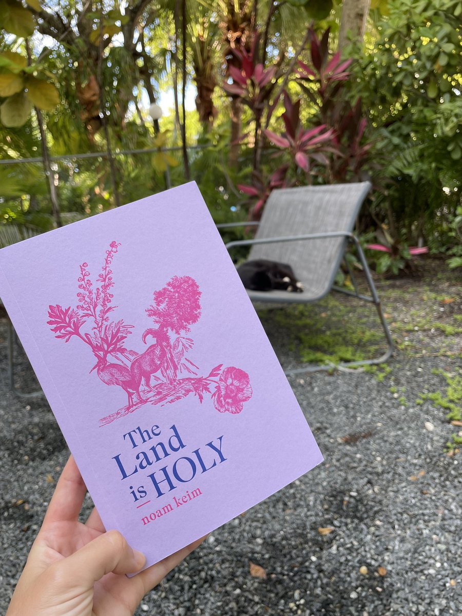 Got back home to find this beauty in my mailbox. 

(I don’t have cats, so I hired this sleeping stray to fulfill the book pic requirements.) @noamkeim @RadixMedia