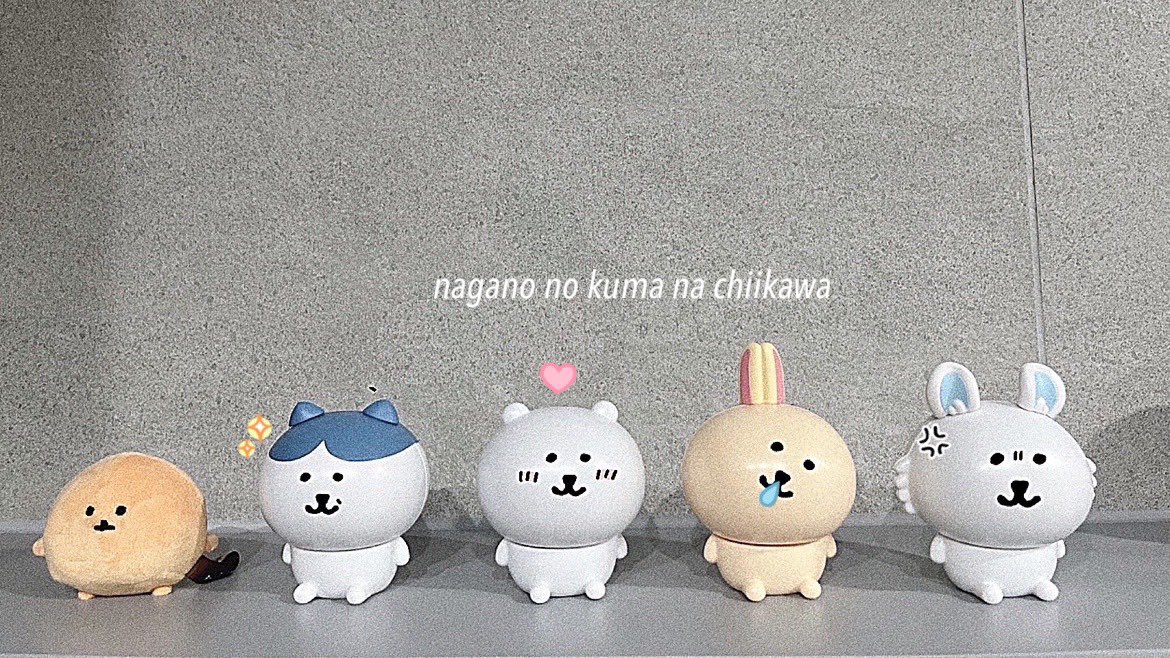 かわいいദി  ᷇ᵕ  ᷆  )🤍