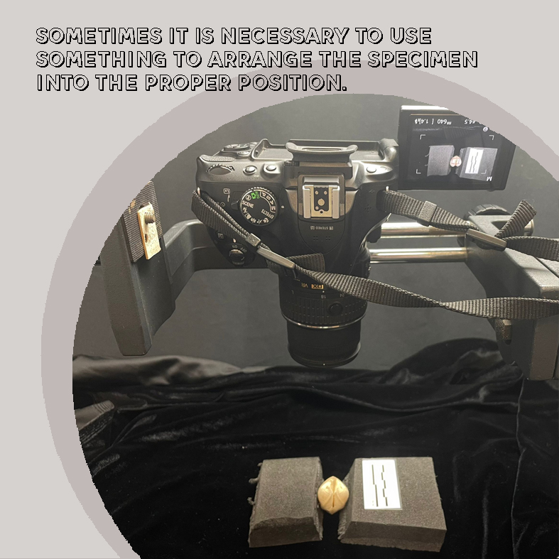 International Centre for Heritage tweet media