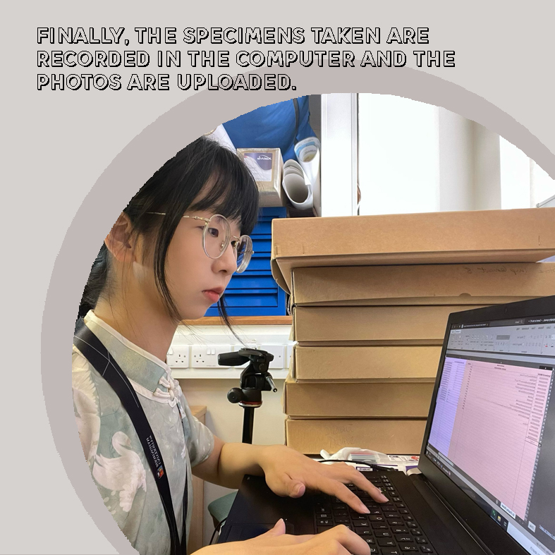 International Centre for Heritage tweet media