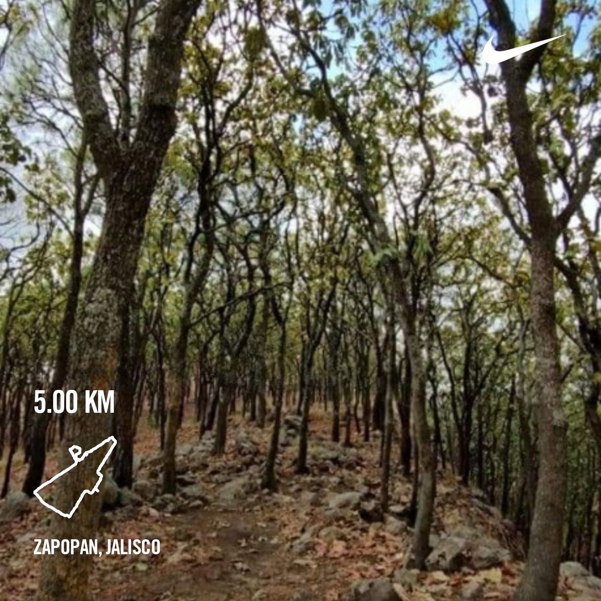 torreshgerardo's tweet image. Penúltimo entrenamiento de la semana, solo por ser vierneeeees 
#BuenosDiasATodos
 #SiMeVenSaluden #nikerun #YoElegiCorrer #Run #Comunirunners #Running