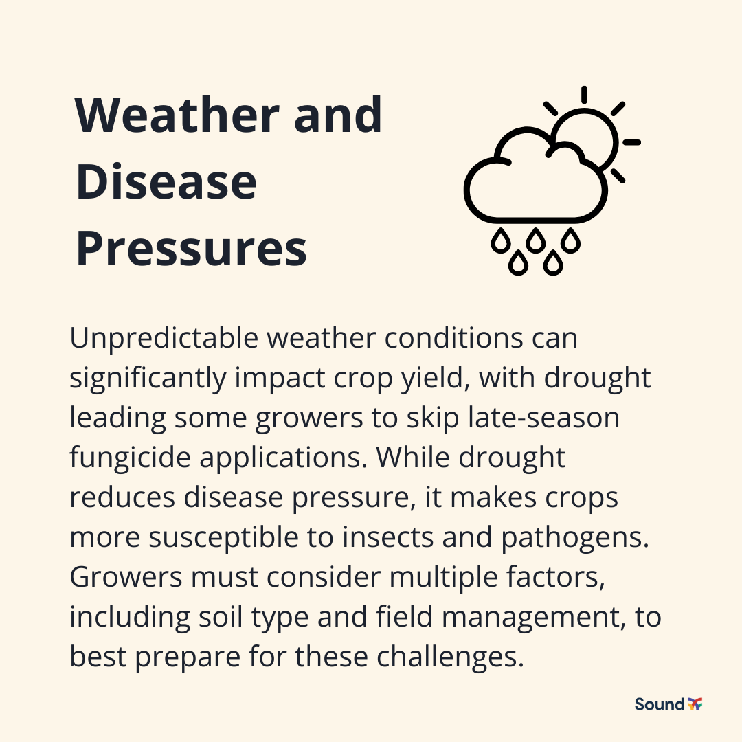 sound_ag's tweet image. What can #growers do to prepare and support their #crops through the end of the season? 

Learn more about key practices for growers to navigate weather, disease, and #nutrient challenges: bit.ly/3KURkYK
