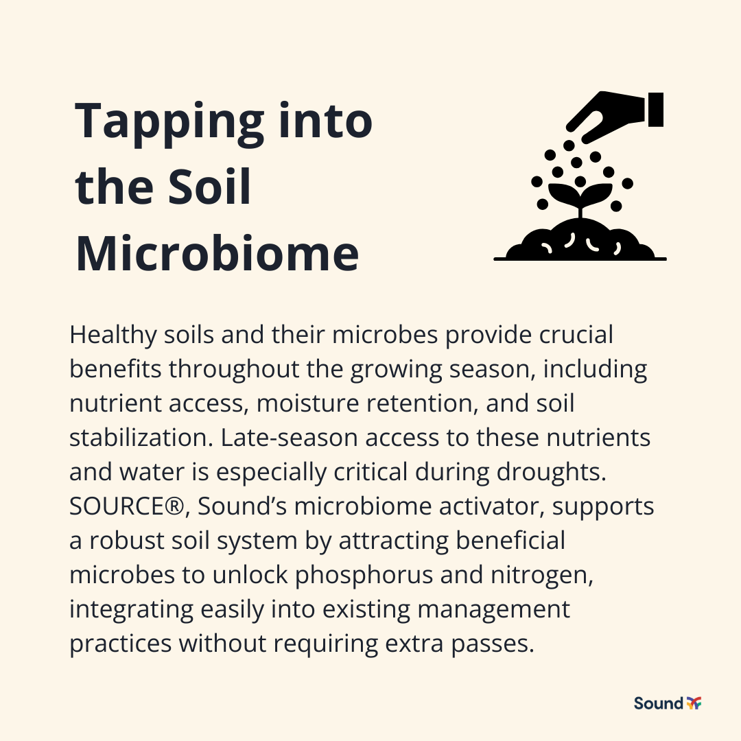 sound_ag's tweet image. What can #growers do to prepare and support their #crops through the end of the season? 

Learn more about key practices for growers to navigate weather, disease, and #nutrient challenges: bit.ly/3KURkYK