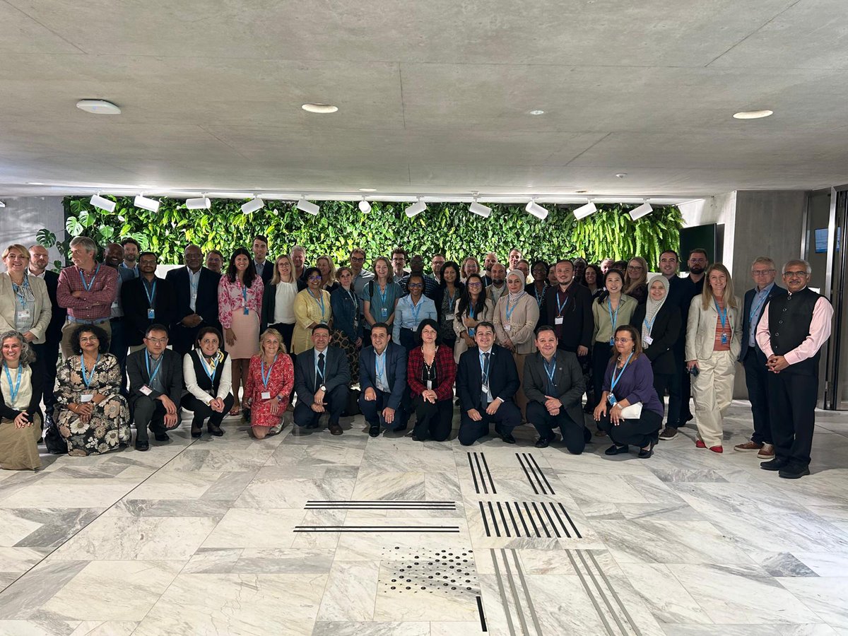 Valeria Gigante tweet media