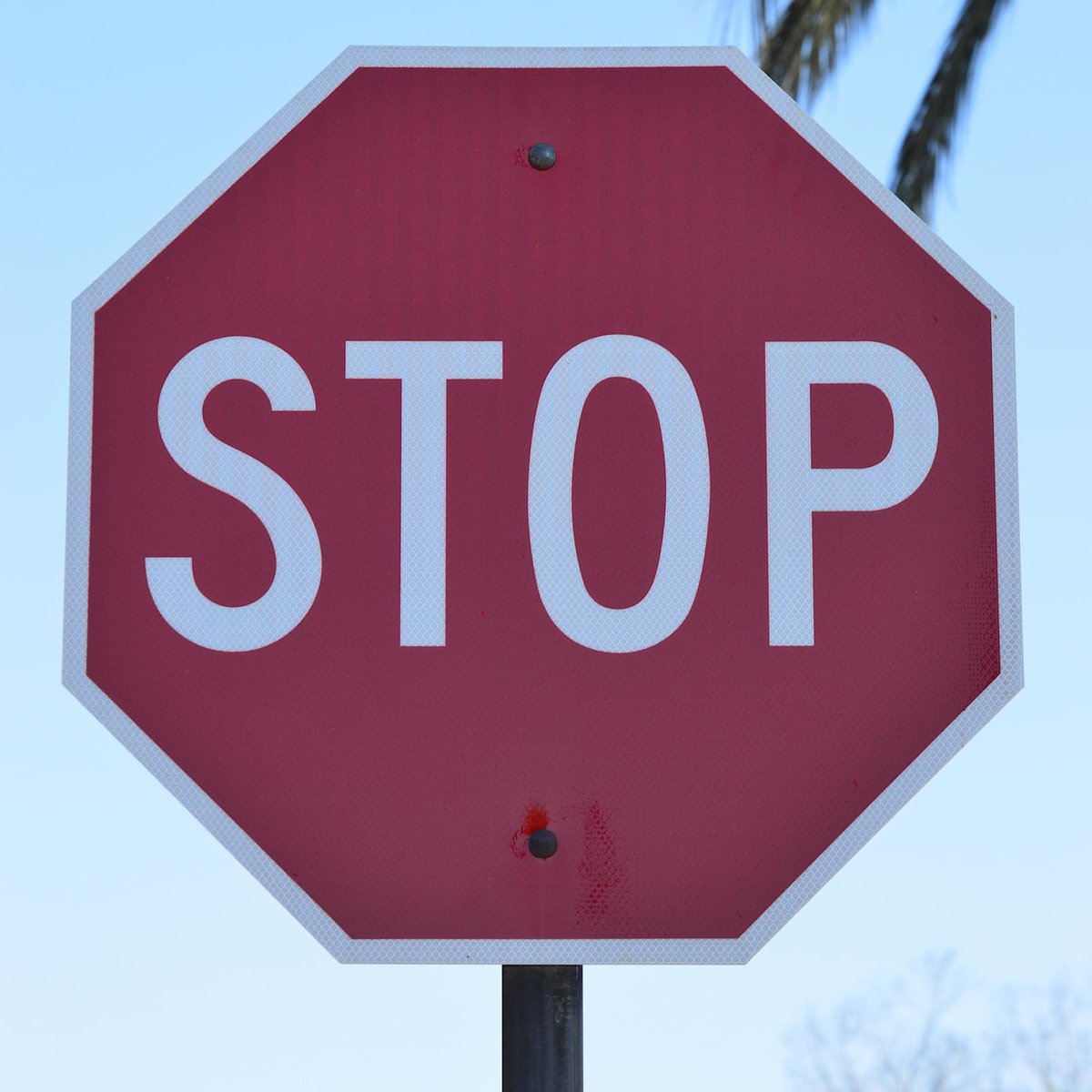HochmanGoldin's tweet image. Did a stop sign ticket catch you off guard? Discover how our traffic attorneys can assist you in navigating this challenge. From evidence challenges to courtroom representation, we're here to support you. 

Learn more: postly.app/3YNY

#miamitrafficticket #stopsignticket