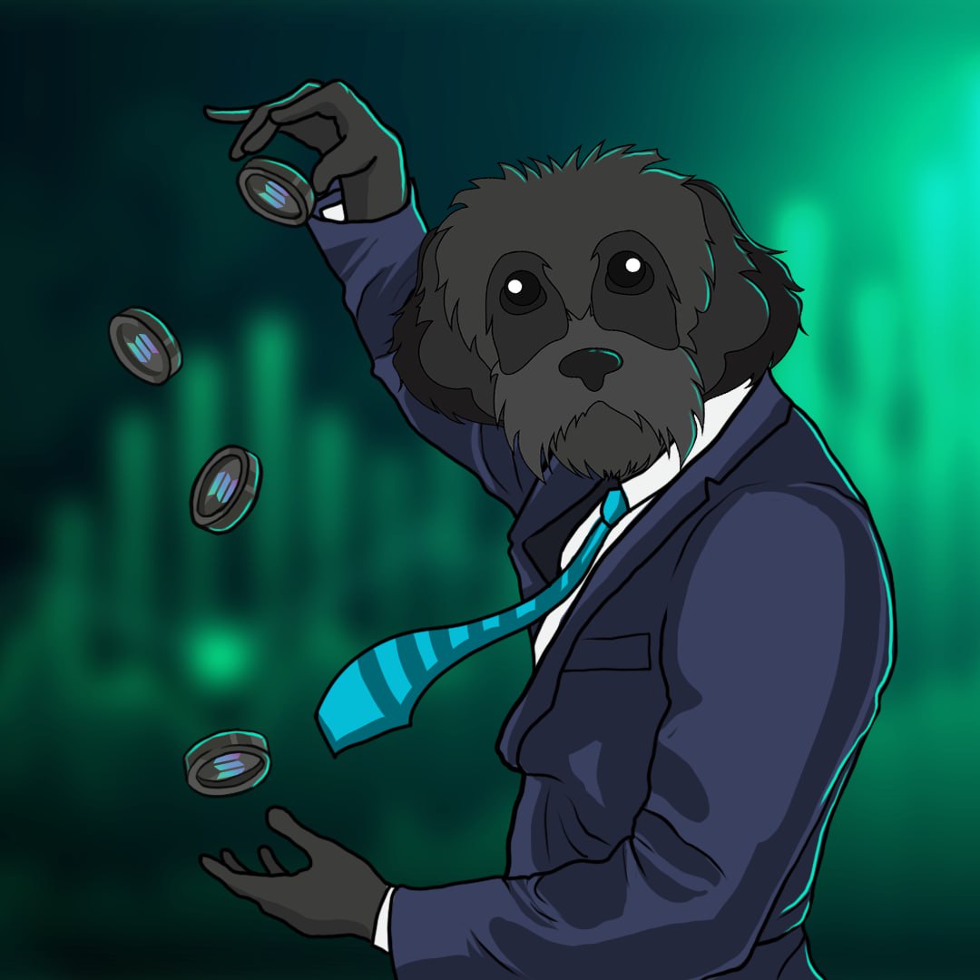 The normies are coming to @Solana $MYRO