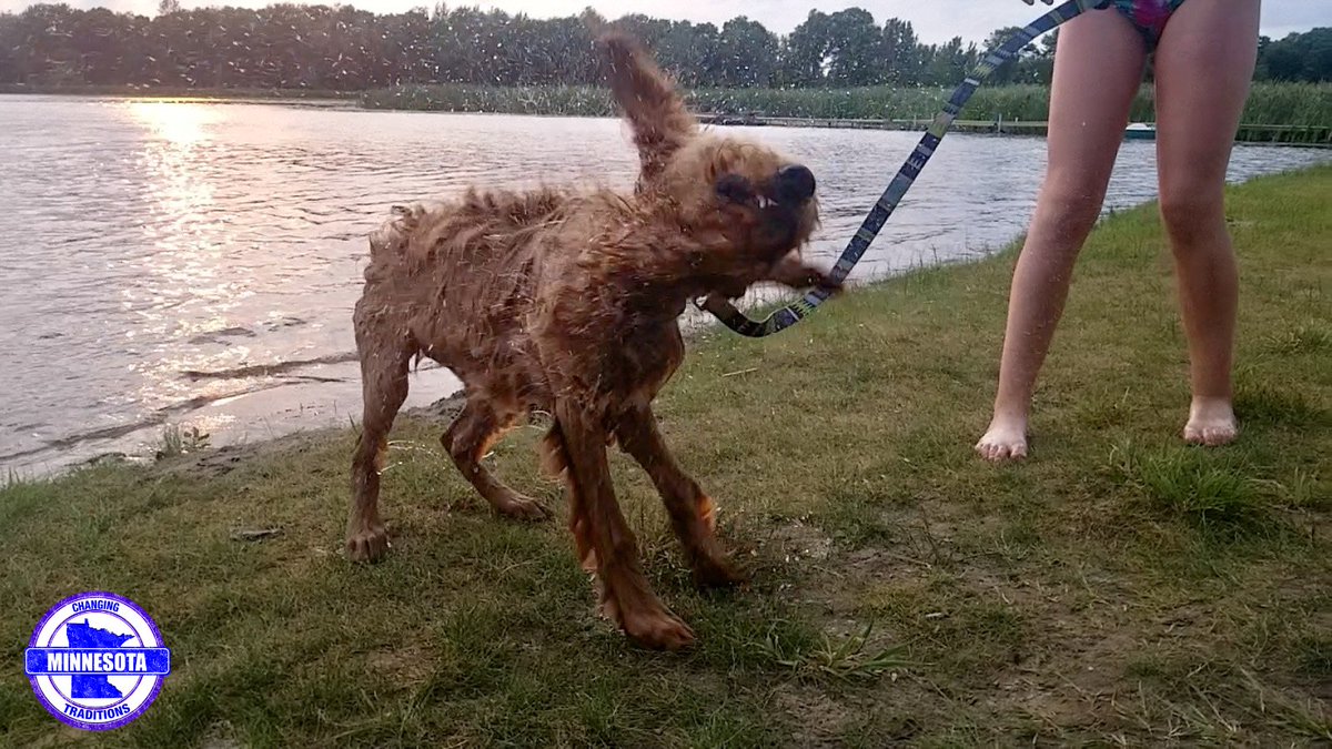 MNTraditions's tweet image. It's the dog days of summer! What are you and your furry friends up to this summer? Let us know below ⬇️

#DogDaysOfSummer #MinnesotaTraditions #MNTraditions