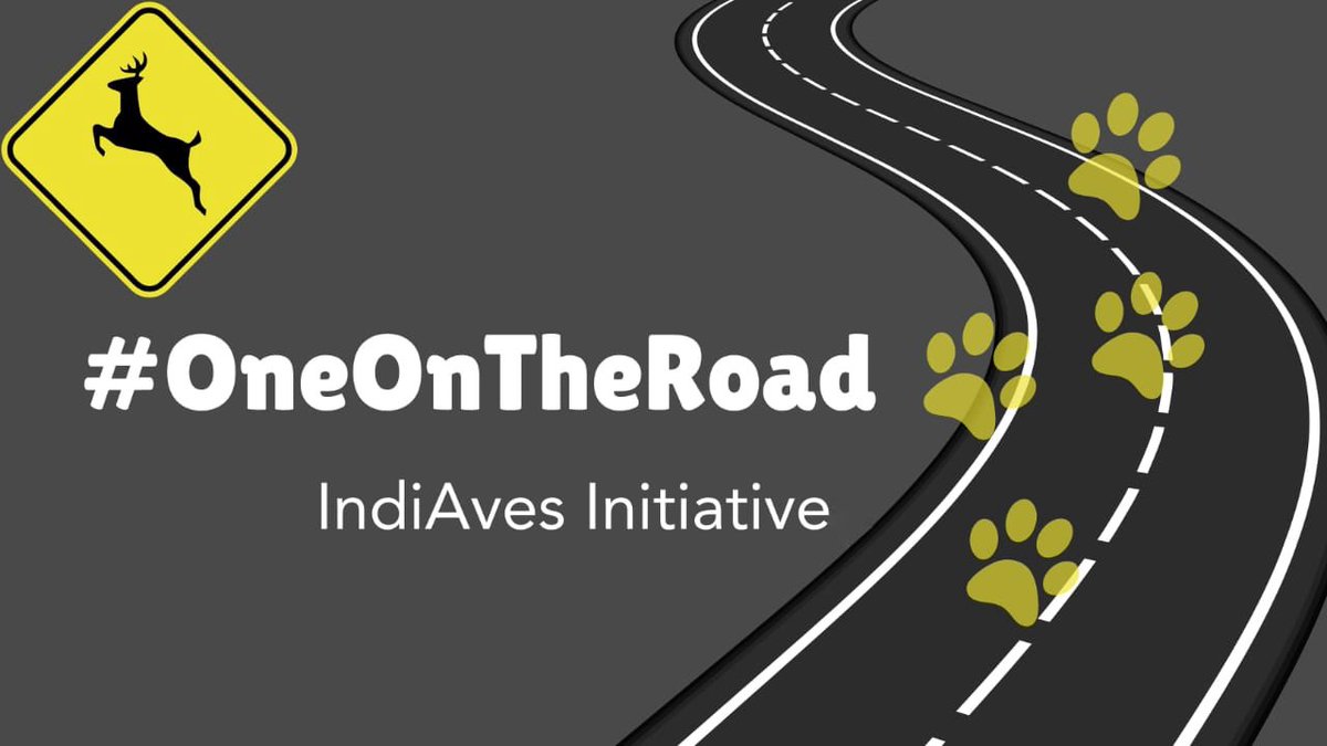 When we spot denizens of forest occupying a road, we stop and wait till the occupants clear the way on their own accord. We welcome such roadblocks! 
Post photos of animals/birds/reptiles occupying a road in our weekend theme #OneOnTheRoad 
Theme courtesy: <a href="/passivelyactive/">ayyappan hariharan🐦‍⬛</a>