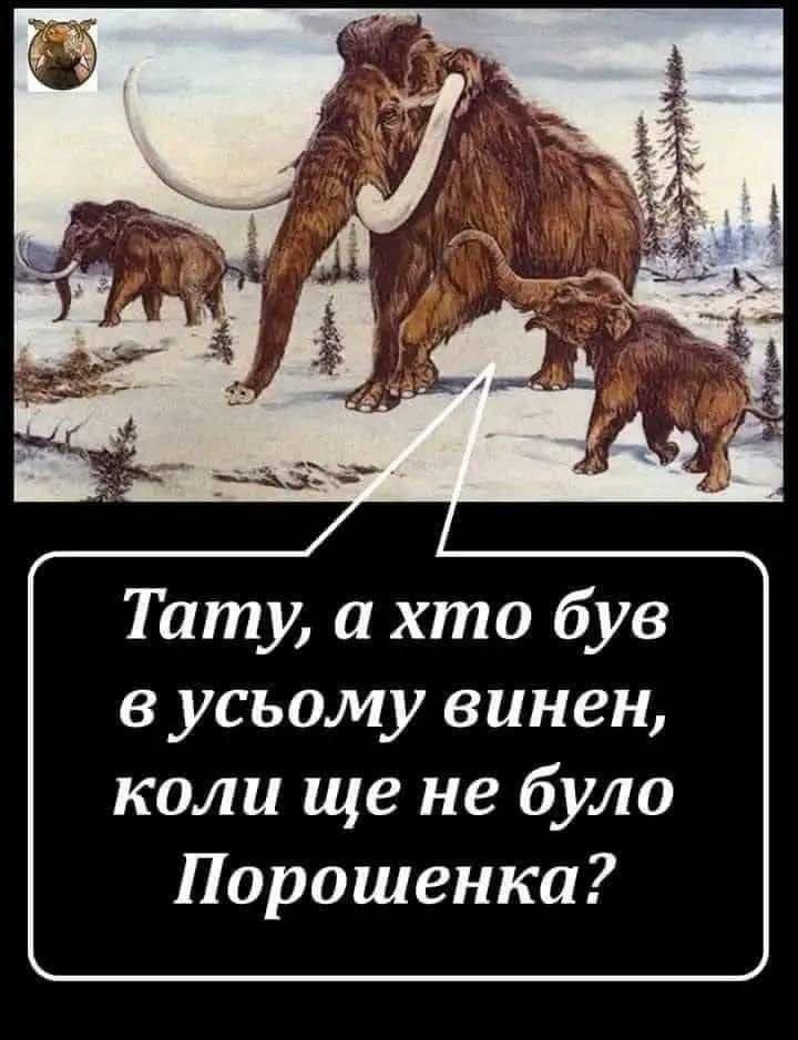 SarganLarysa's tweet photo. Президент Зеленський в Брюсселі фактично підтвердив те, про що говорила опозиція: за швейцарським шоу т.зв. саміту миру не стояло жодного продуманого плану подальших дій. 
І тепер наш найвеличніший лідер нарізає задачі західним союзникам. 
Ю. Луценко 
#юрійлуценко https://t.co/dReoPN0kUD