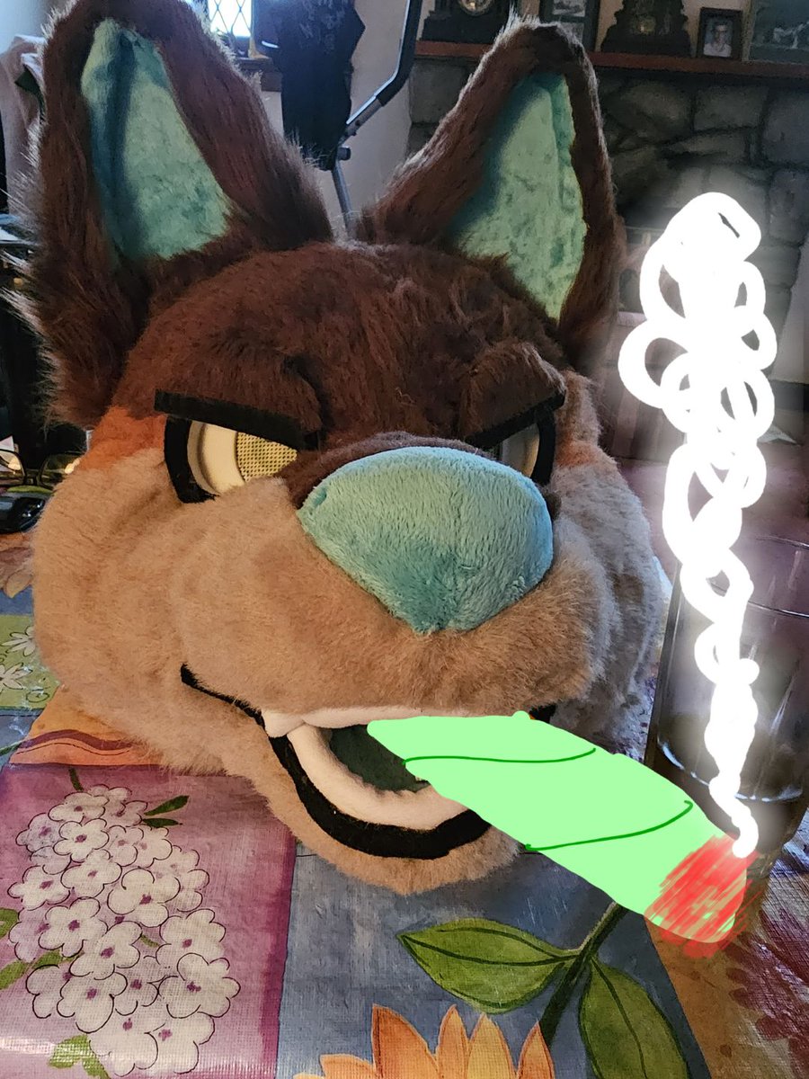 ZoomieFox's tweet photo. I'm absolutely loving the progress @cheycheybee is making on mah boi, although those eyelids might be leading him down a bad road https://t.co/ZYUR6GczxV