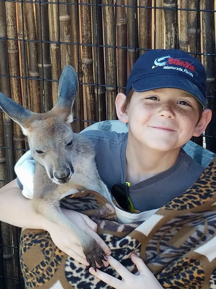 NYSadventures's tweet photo. I love the Wild Animal Park because there are so many opportunities for guest to interact with the animals. Learn more about visiting: 𝙇𝙚𝙖𝙧𝙣 𝙢𝙤𝙧𝙚 𝙖𝙗𝙤𝙪𝙩 𝙫𝙞𝙨𝙞𝙩𝙞𝙣𝙜 𝙝𝙚𝙧𝙚: https://t.co/dJc60IXJ1e https://t.co/RSTNB7REDG