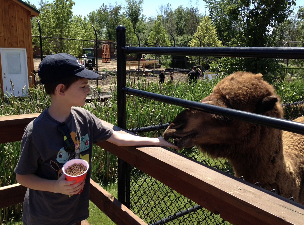NYSadventures's tweet photo. I love the Wild Animal Park because there are so many opportunities for guest to interact with the animals. Learn more about visiting: 𝙇𝙚𝙖𝙧𝙣 𝙢𝙤𝙧𝙚 𝙖𝙗𝙤𝙪𝙩 𝙫𝙞𝙨𝙞𝙩𝙞𝙣𝙜 𝙝𝙚𝙧𝙚: https://t.co/dJc60IXJ1e https://t.co/RSTNB7REDG