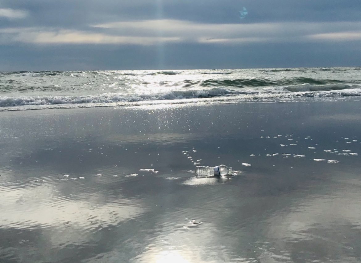 FLEnvFilmFest's tweet photo. Plastic waste . Join our meetups for clean up!!!
#wildlife #oceans #humankind #wetlands #environmentalracism #ecosystems  #manatees #seagrass  #climatechange https://t.co/vkNVOzpNSg
