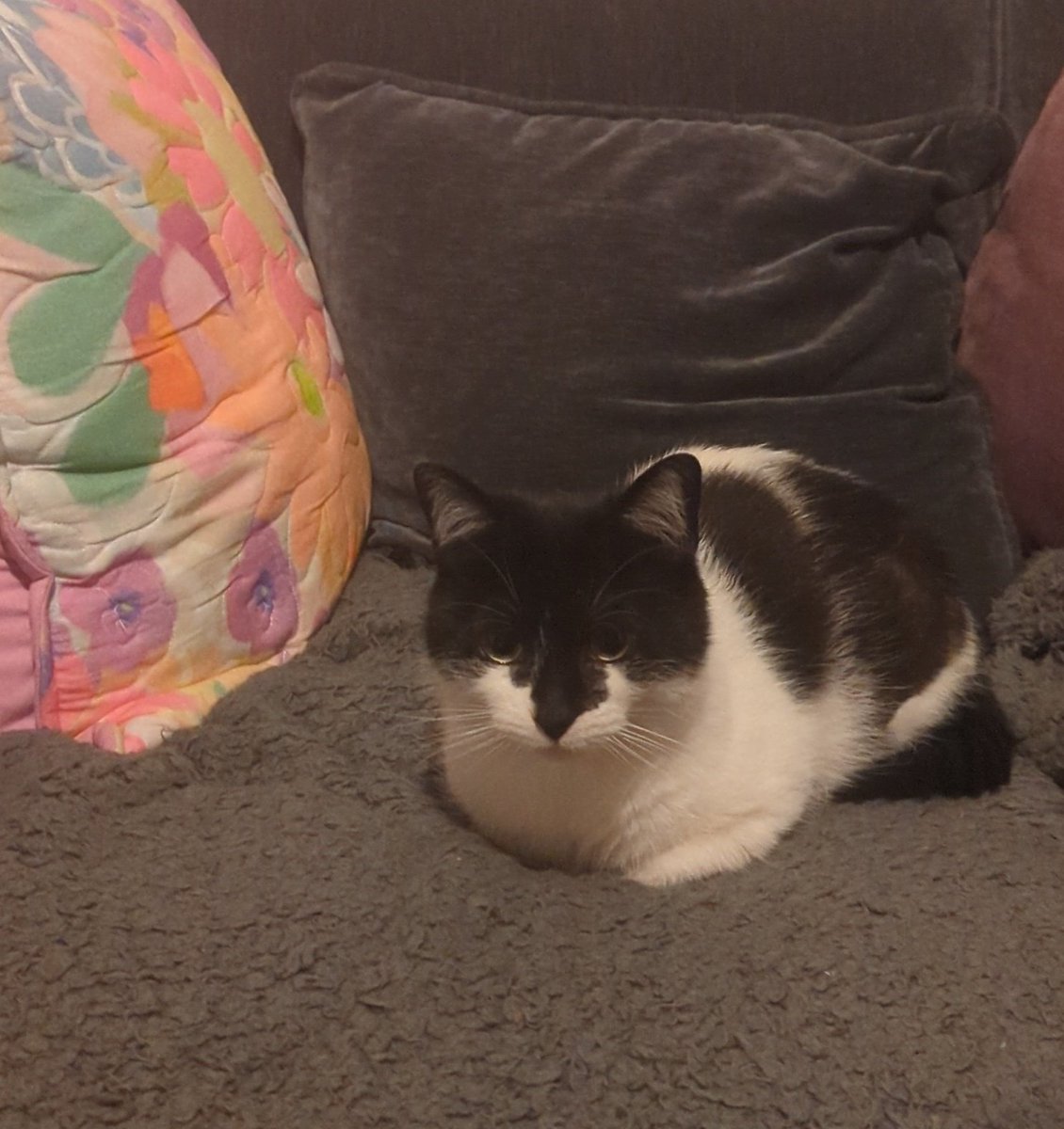 Jaime ✨ tweet media