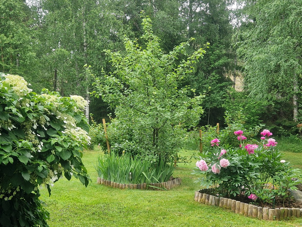 Vickiboukasott's tweet photo. Nu kom regnet, det tackar vi för 🌸🐢🌺🐦‍⬛🌼🐍🌷🦎🌿🐸🍃 https://t.co/L8CA4gwiEZ