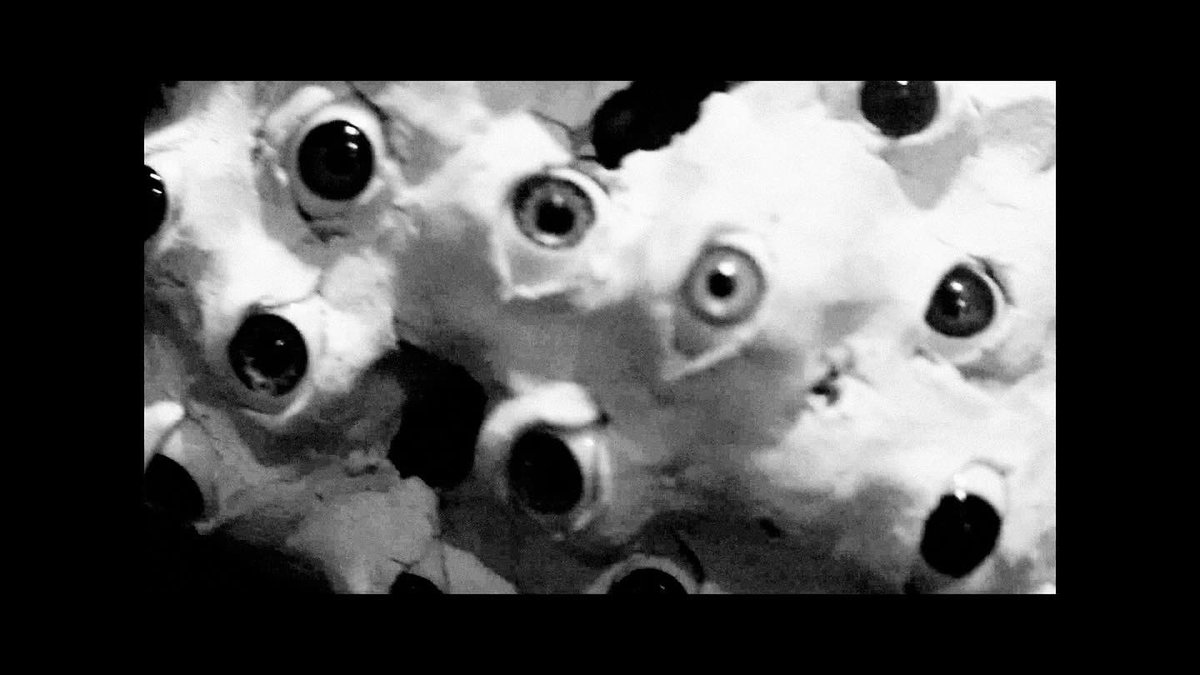 Hardcastle tweet media