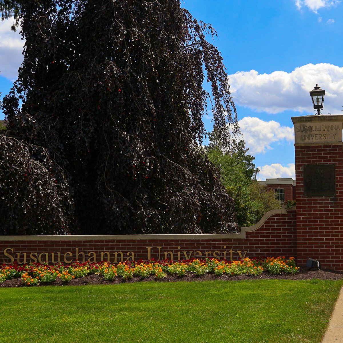 Susquehanna University tweet media