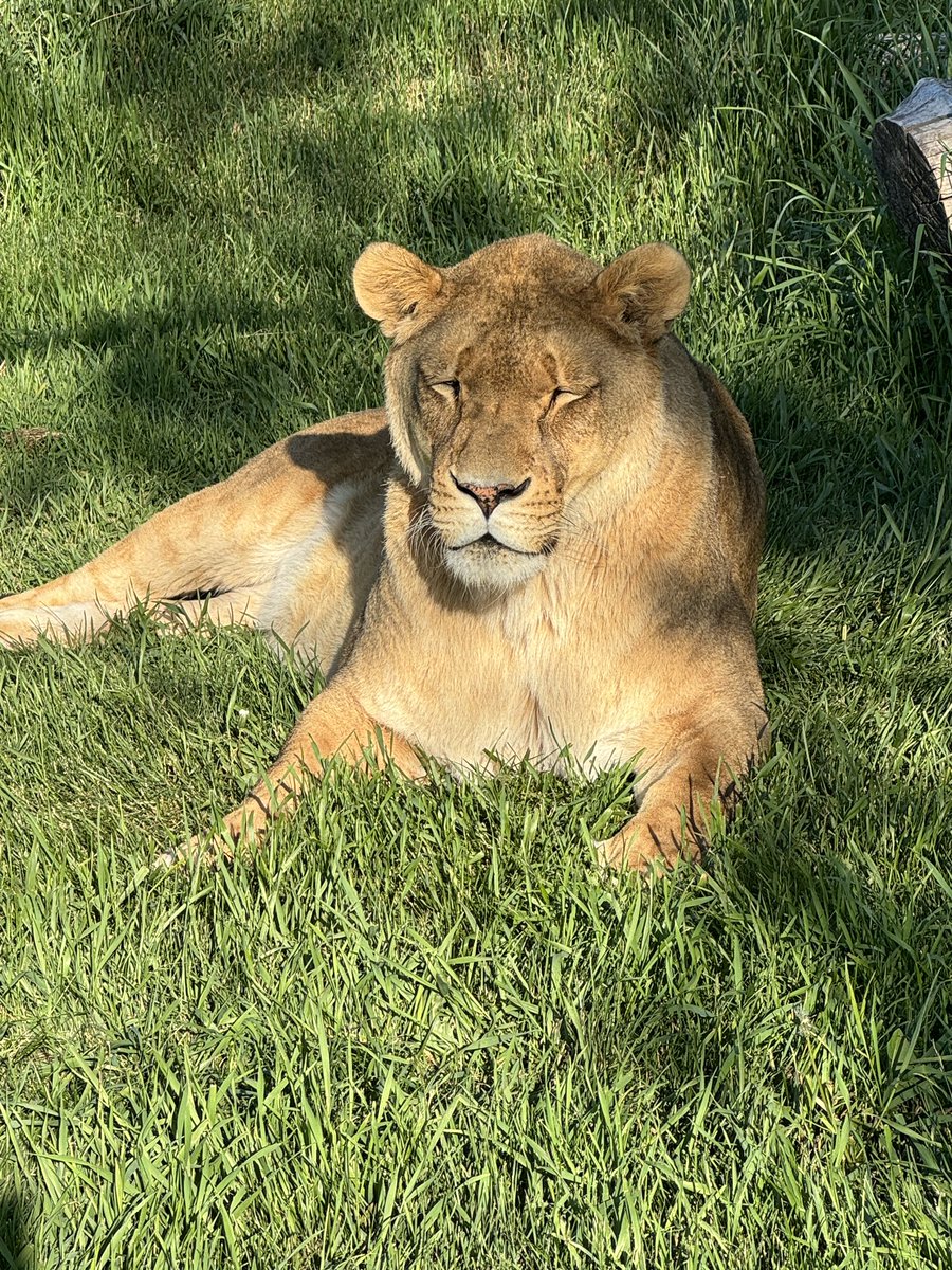 Discovery Wildlife tweet media